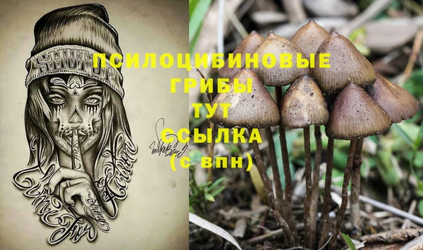 PSILOCYBIN Богородск